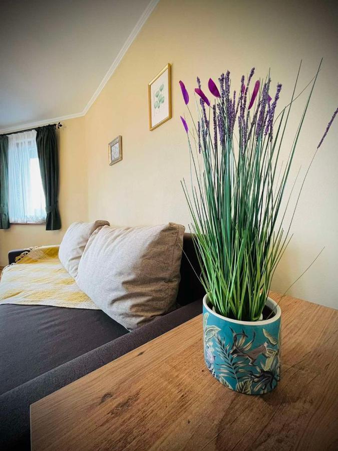 The Green Guest House Of Veliko Tarnovo-Amazing View, Top Location Extérieur photo
